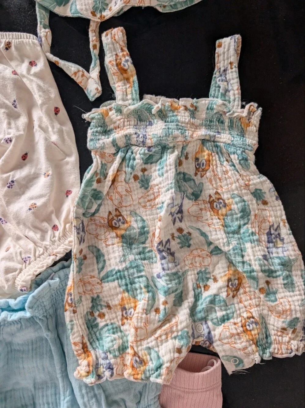 Girls Precious Mixed Clothing Bundle 3-6 Months Ft. Bluey!